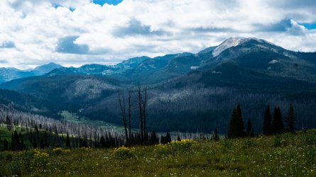 DSC01612.jpg DSC01612.jpg