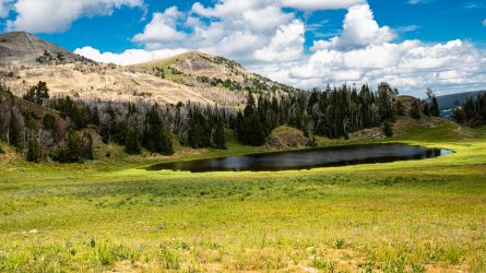 DSC01642.jpg DSC01642.jpg