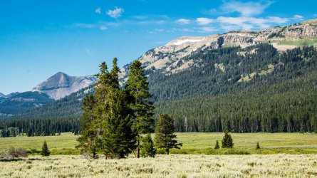 DSC01665.jpg DSC01665.jpg