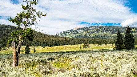 DSC01666.jpg DSC01666.jpg