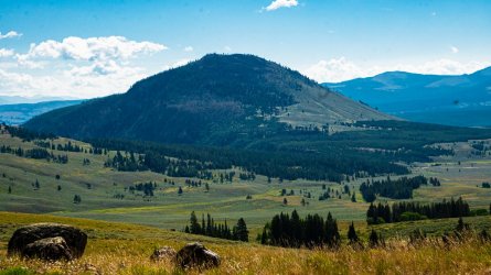 DSC01687.jpg DSC01687.jpg