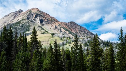 DSC01705.jpg DSC01705.jpg