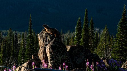 DSC01768.jpg DSC01768.jpg