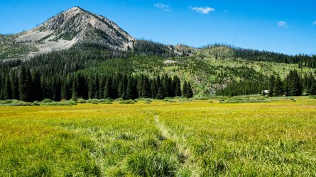 DSC01782.jpg DSC01782.jpg