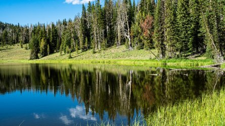 DSC01798.jpg DSC01798.jpg