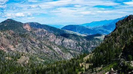 DSC01831.jpg DSC01831.jpg