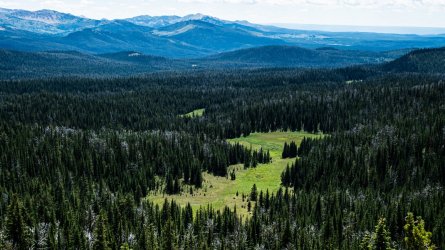 DSC01841.jpg DSC01841.jpg