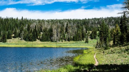 DSC01802.jpg DSC01802.jpg