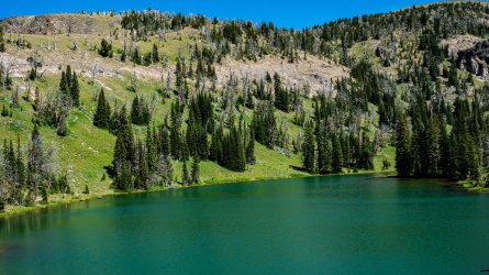 DSC01893.jpg DSC01893.jpg