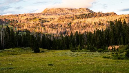 DSC01560.jpg DSC01560.jpg