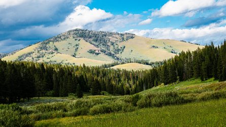 DSC01659.jpg DSC01659.jpg