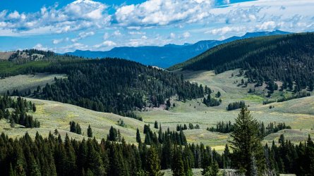 DSC01690.jpg DSC01690.jpg