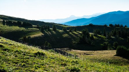 DSC01754.jpg DSC01754.jpg