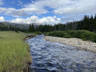 368041710_10161153949414123_7513660974685788781_n.jpg 368041710_10161153949414123_7513660974685788781_n.jpg