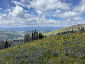 368249591_10161153949524123_3312321032470358306_n.jpg 368249591_10161153949524123_3312321032470358306_n.jpg