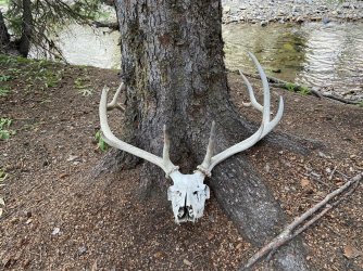 368212662_10161153949659123_5718350488273632555_n.jpg 368212662_10161153949659123_5718350488273632555_n.jpg