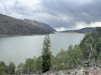 IMG_0405.jpeg IMG_0405.jpeg