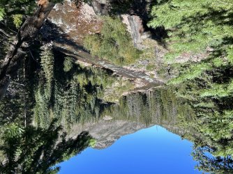 IMG_0298.jpeg IMG_0298.jpeg