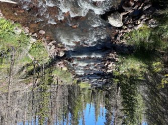 IMG_0303.jpeg IMG_0303.jpeg