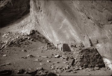 scan0029 20 gg deer.jpg