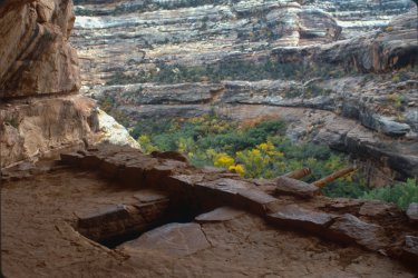 scan0031 5 gg deer.jpg