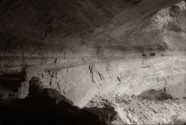 scan0032 2 gg deer.jpg