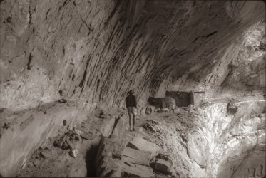 scan0039 3 gg deer.jpg