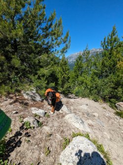 PXL_20230702_173150990.MP.jpg PXL_20230702_173150990.MP.jpg