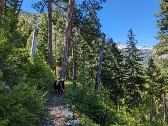 PXL_20230702_174347314.jpg PXL_20230702_174347314.jpg