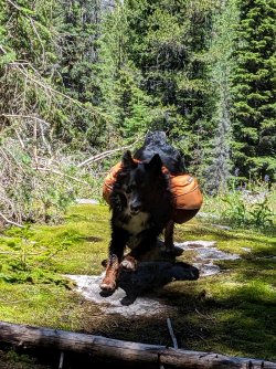 PXL_20230702_193444422.jpg PXL_20230702_193444422.jpg