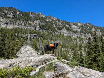 PXL_20230702_205539850.jpg PXL_20230702_205539850.jpg