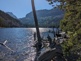 PXL_20230703_000242201.jpg PXL_20230703_000242201.jpg