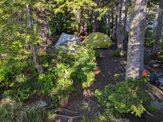 PXL_20230703_142504020.jpg PXL_20230703_142504020.jpg