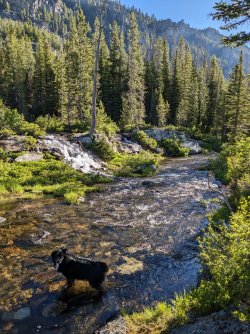 PXL_20230703_142700399.jpg PXL_20230703_142700399.jpg