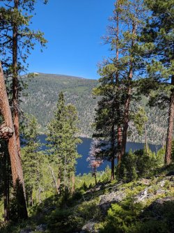 PXL_20230703_180328856.jpg PXL_20230703_180328856.jpg