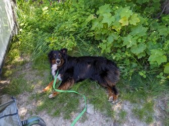 PXL_20230703_181951009.jpg PXL_20230703_181951009.jpg