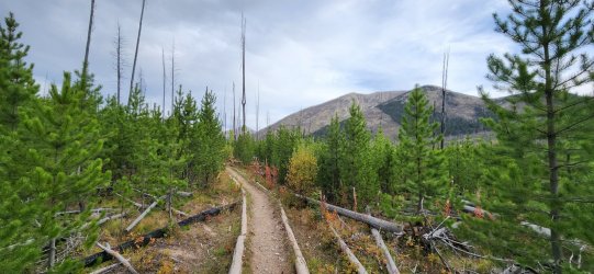 20230918_094503.jpg 20230918_094503.jpg