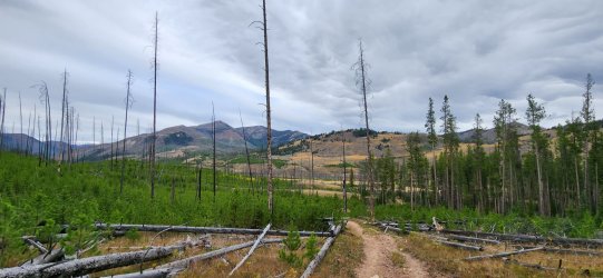 20230918_101022.jpg 20230918_101022.jpg