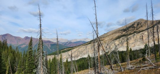 20230919_095416.jpg 20230919_095416.jpg