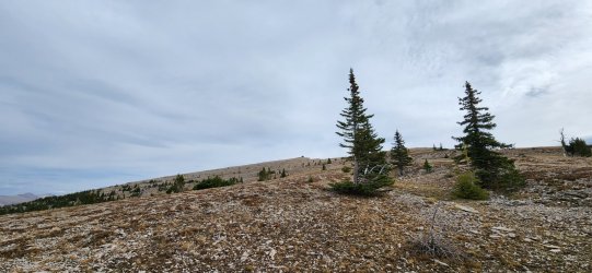 20230919_110726.jpg 20230919_110726.jpg