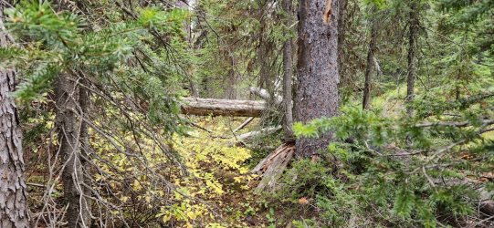 20230920_083220.jpg 20230920_083220.jpg