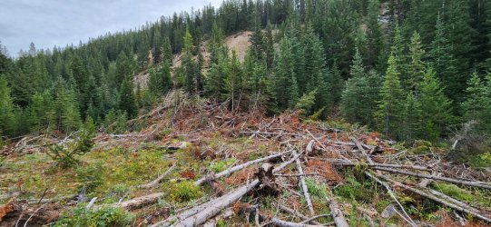 20230920_101143.jpg 20230920_101143.jpg