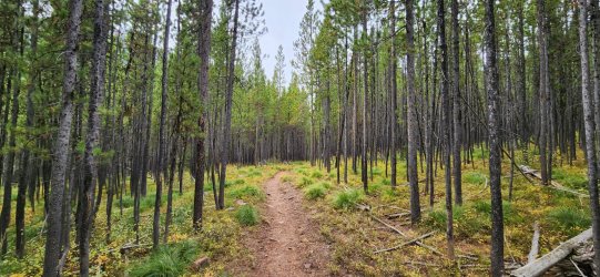 20230920_113041.jpg 20230920_113041.jpg