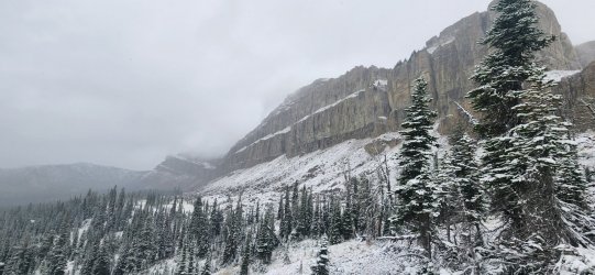 20230921_092147.jpg 20230921_092147.jpg