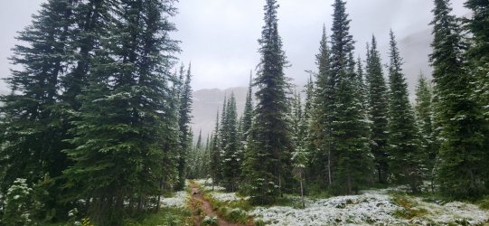 20230921_094712.jpg 20230921_094712.jpg