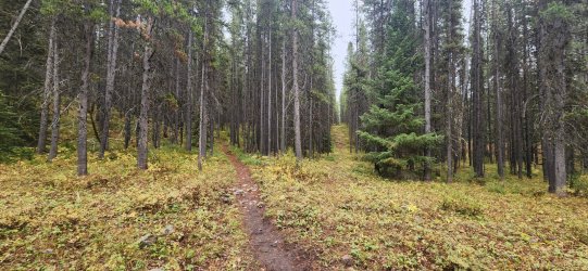 20230921_114414.jpg 20230921_114414.jpg