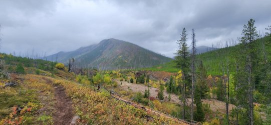 20230921_125057.jpg 20230921_125057.jpg