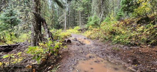 20230921_170849.jpg 20230921_170849.jpg