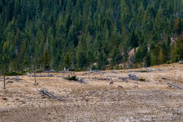 23_9_Bob_Marshall-1-2.jpg 23_9_Bob_Marshall-1-2.jpg