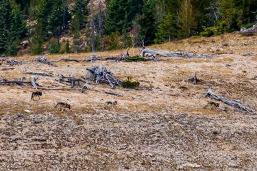 23_9_Bob_Marshall-2.jpg 23_9_Bob_Marshall-2.jpg